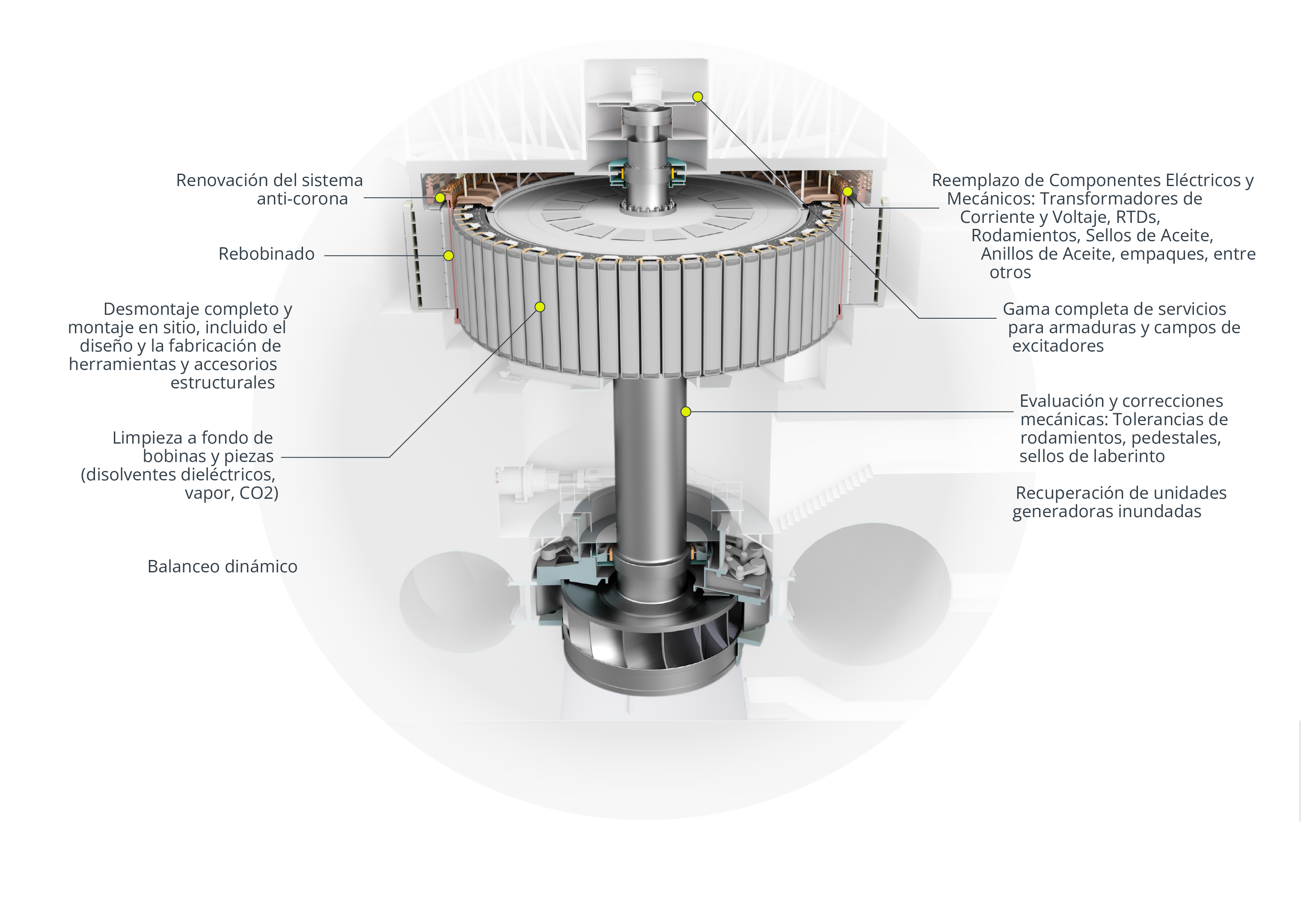 Hidro Manteniniento mayor Espanol