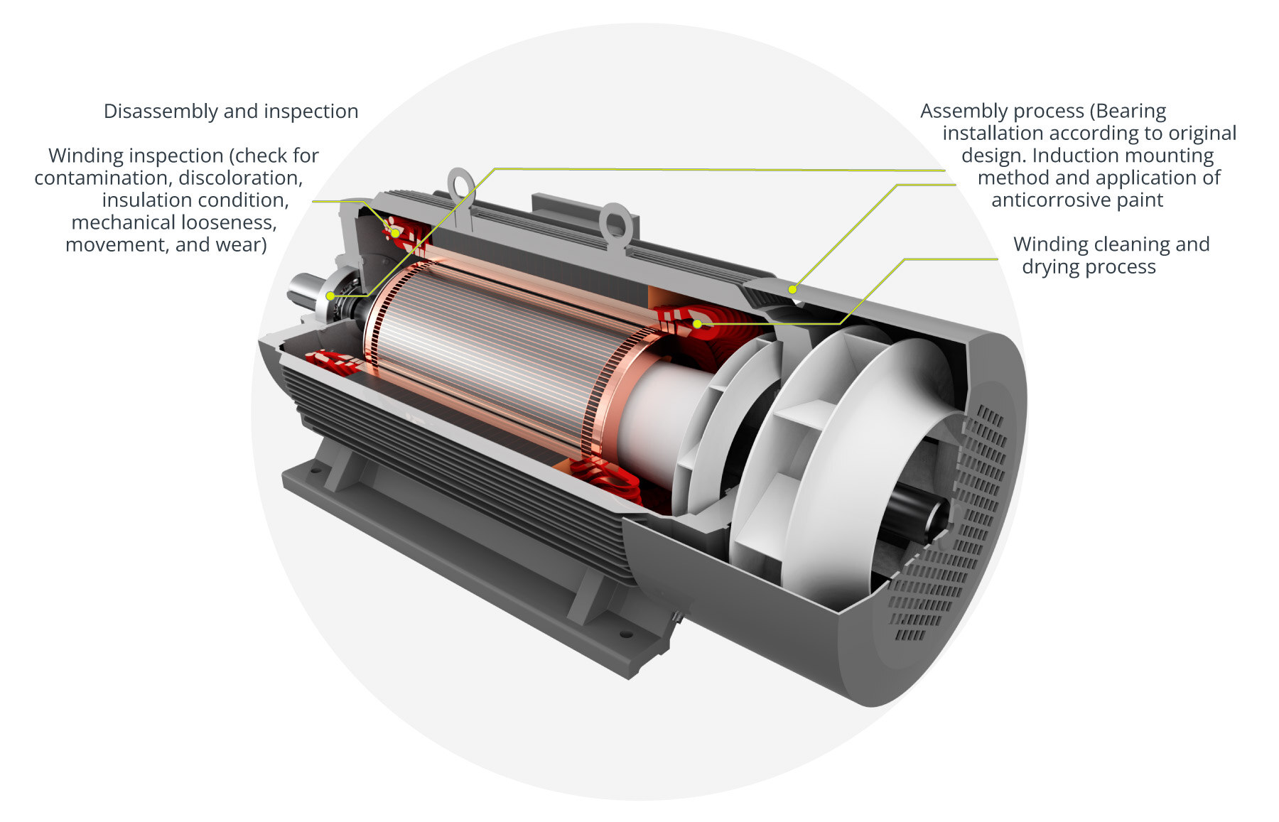 Mantenimiento mayor motores de bajo y medio voltaje | Major maintenance on medium and low voltage motors.